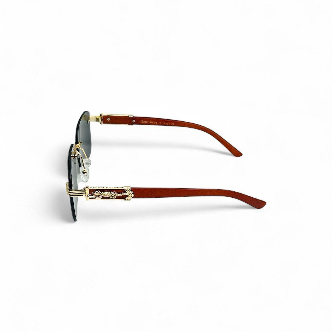 Premium sunglasses for men