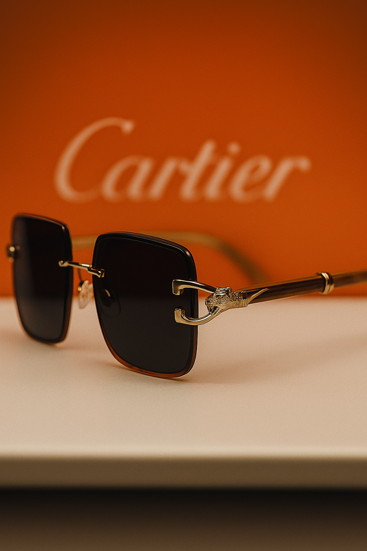 Premium sunglasses for men.